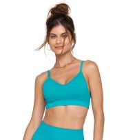 Destiny Seamless Bra